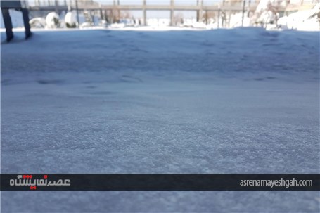 گزارش تصویری