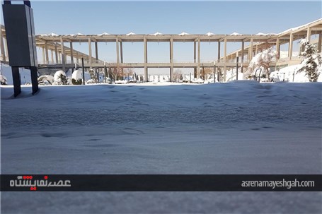 گزارش تصویری