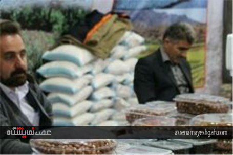 گزارش تصویری جشنواره و نمایشگاه ملی روستا در قزوین