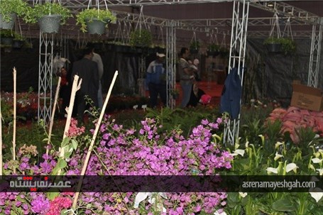 گزارش تصویری نمایشگاه سوغات و هدایا و گل و گیاه بوشهر