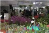 گزارش تصویری نمایشگاه سوغات و هدایا و گل و گیاه بوشهر
