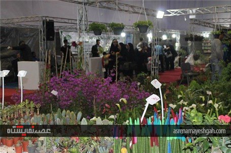 گزارش تصویری نمایشگاه سوغات و هدایا و گل و گیاه بوشهر
