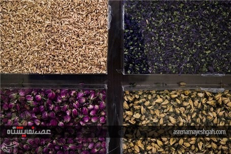 گزارش تصویری نمایشگاه پویش ملی گیاهان دارویی تهران