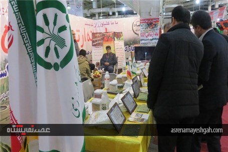 گزارش تصویری اولین نمایشگاه علمی و تخصصی برنج استان مازندران