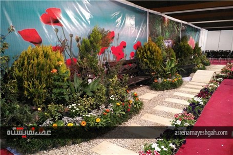 گزارش تصویری آماده سازی نمایشگاه گل و گیاه گلستان