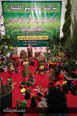 گزارش تصویری آماده سازی نمایشگاه گل و گیاه گلستان