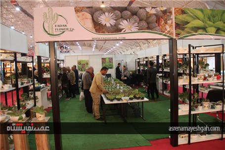 گزارش تصویری افتتاح 3 عنوان نمایشگاه در شیراز