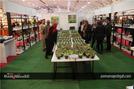 گزارش تصویری افتتاح 3 عنوان نمایشگاه در شیراز