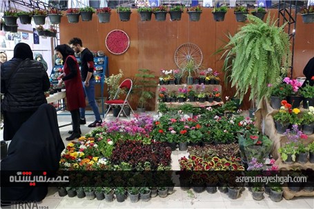 گزارش تصویری هشتمین نمایشگاه مواد غذایی، لبنی، شیرینی و شکلات