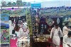 گزارش تصویری حضور سیستان و بلوچستان در نمایشگاه توانمندی های روستاییان و عشایر در تهران