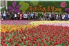 نمایشگاه گل و گیاه در هنگ‌کنگ