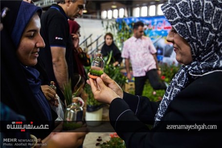 نمایشگاه گل و گیاه در یزد