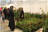 گزارش تصویری نخستین روز نمـایشگاه گل و گیاه,گیاهان دارویى ارومیه