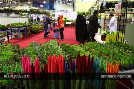 نمایشگاه گل و گیاه در همدان