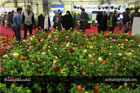 نمایشگاه گل و گیاه در همدان