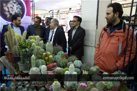 نمایشگاه گل و گیاه در همدان