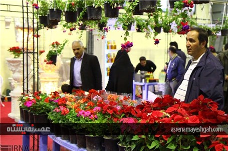 نمایشگاه گل و گیاه در همدان
