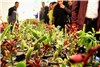 گزارش تصویرى از آخرین روز نمـایشگاه تخصصى گل و گیاه ارومیه